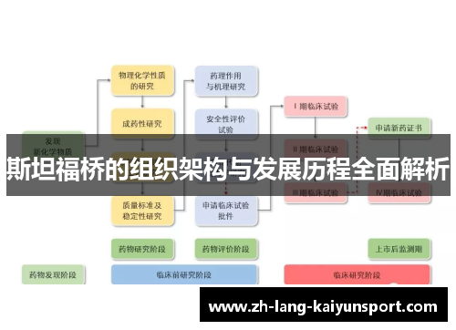 斯坦福桥的组织架构与发展历程全面解析