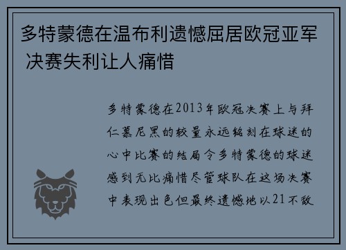 多特蒙德在温布利遗憾屈居欧冠亚军 决赛失利让人痛惜